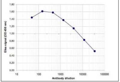 ELISA: Histone H3 [Trimethyl Lys36] Antibody [NBP2-59155] - To determine the titer, an ELISA was performed using a serial dilution of the antibody directed against H3K36me3 . The antigen used was a peptide containing the histone modification of interest. By plotting the absorbance against the antibody dilution, the titer of the antibody was estimated to be 1:12,700.